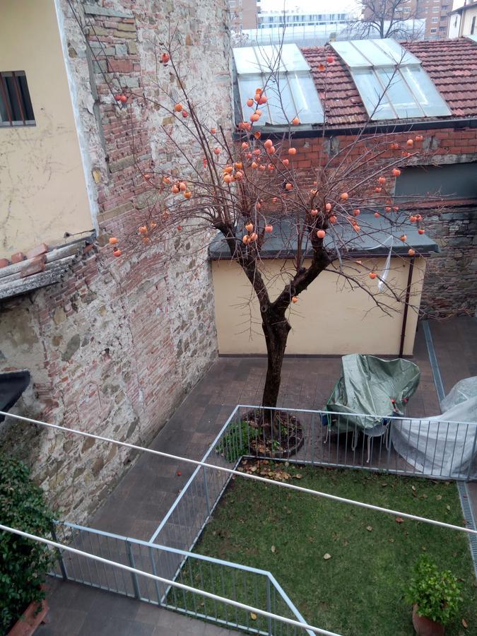 Appartamento Rifredi Florencie Exteriér fotografie
